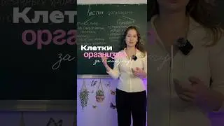 📍переходи в тг-канал @max_bioum и забирай 300+ страниц уникальных авторских материалов 