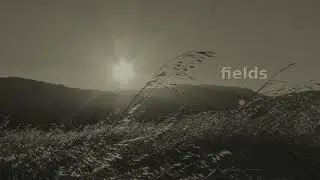 fields