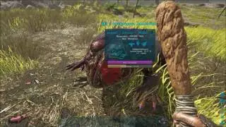 Жаба The Island / ARK Survival Evolved