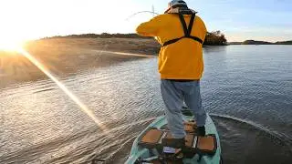 Pushing the Torqeedo to Zero! Fall Topwater Bite with the Berkley Screaming Choppo 95