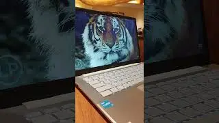#Shorts Asus Vivobook Go 14 E1404G
