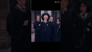 Кто лучше Краб Гойл или Драко? Как вам такое?