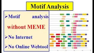 Motif Analysis | No MEME | No online tool
