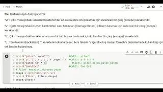 Python dilinde print, input ve eval kullanımı