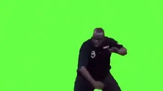 Green Screen   Security Zoget Zoget