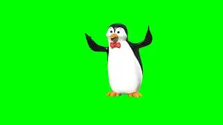 3D Green Screen Character Penguin Free 3d Explainer kit