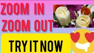 Zoom In And Zoom Out Effecs For YouTube Videos