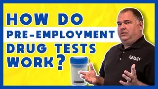 How Do Pre-Employement Drug Tests Work?