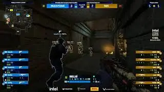 FASHR ACE Eco COBRA against NIP