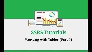 SSRS Tutorials - 5.Working with Tables (Part 3) - Add Page Breaks / Conditional Function