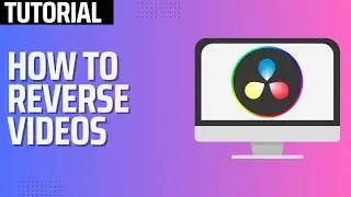 How To Reverse Videos In Davinci Resolve 19