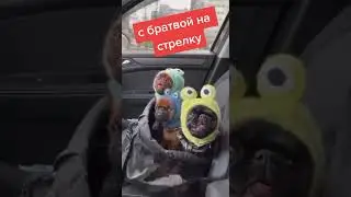 😂 С БРАТВОЙ НА СТРЕЛКУ 😂#shorts