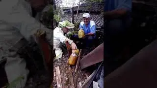 Медовый клад