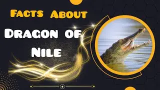 Fast Facts About Crocodile ❗
