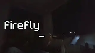 firefly [2020]