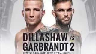 UFC 3 - TJ Dillashaw VS Cody Garbrandt