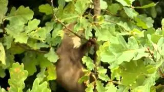 Эко форум фильм
