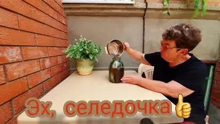 Ейск. Иду на  ярмарку  купить свежемороженой сельди. Обещаный  мной вкуснейший посол селедки👍