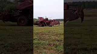 Комбайн Колос СК-6 едет молотить ячмень