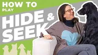 Games To Play With Dogs Inside - HIDE and SEEK