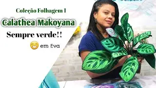 409 - COMO FAZER UMA CALATHEA MAKOYANA