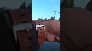 Щука в августе