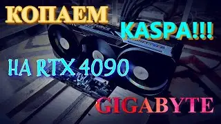 МАЙНИНГ KASPA НА RTX 4090 ПОД RAVE OS | KASPA В КОШЕЛЬКЕ TANGEM | ПРОДОЛЖАЮ НАКОПЛЕНИЕ МОНЕТ!