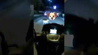 Ingat Lagi sa mga biglang tawid 😂🐕🐶🐾 #motorcycle #roadsafety