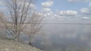 гуси-лебеди в Новотроицке