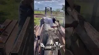 Gama Ranch