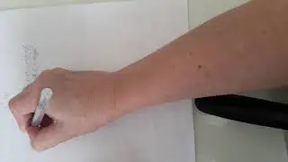 Маркетинг для новичков