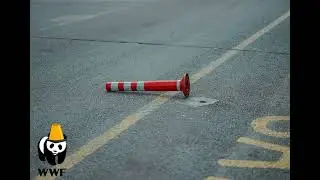 Adopt A Cone For Just $1 a Day [MEME] [Reddit Collectible Avatars]