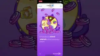 Catizen Rapor 09082024