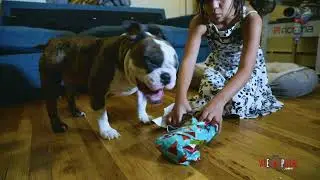 Su primer regalo de Navidad I HER FIRST CHRISTMAS GIFT