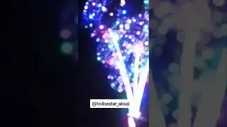 12 сентября 2023 г.
