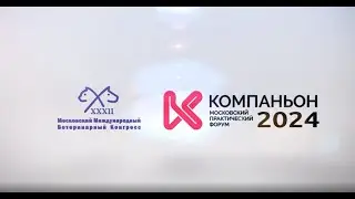 Отчетный ролик ММВК и Компаньон 2024