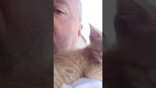 Ayaz la hayat yarkısı