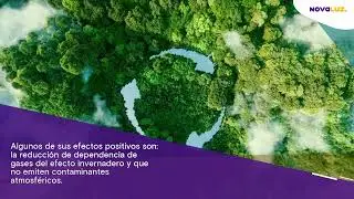 🍃¿Cuál es el Impacto Medioambiental de los Paneles Fotovoltaicos?|Novaluz