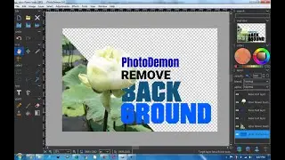 How to Remove Photo Background Using PhotoDemon