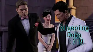 Sleeping Dogs №19