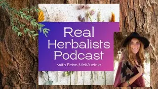 5 Herbs to Use During Pregnancy - Real Herbalists Podcast