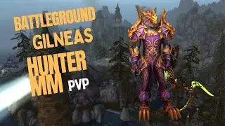 Battleground - Battle for gilneas - Hunter MM PVP - WOW TWW 11.0.5