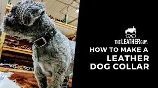 Make Your Own Leather Dog Collar