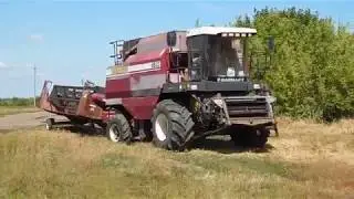 Комбайн Палессе GS12 на уборке рапса 2019