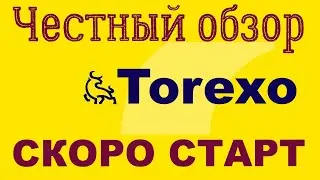Честный обзор Torexo СКОРО СТАРТ
