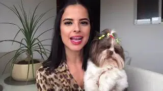 Como é convivência entre cachorro e gato em apartamento