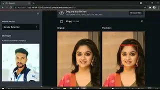 Opencv and deeplearning projects | object detection | custom object Detection using CNN and yolov4.