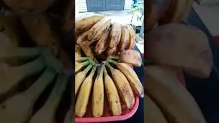 another biyaya ng kalikasan. 