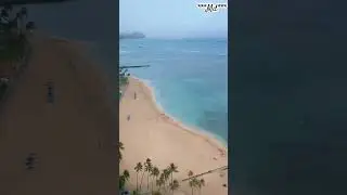 🥰🤙🏻🫶🏻🌺 #aloha  #oahu  #hawaii  #reels #travel  #vacation   #shorts  #shortvideo #waikiki