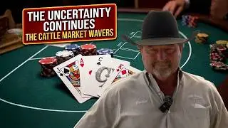 Uncertainty Continues
